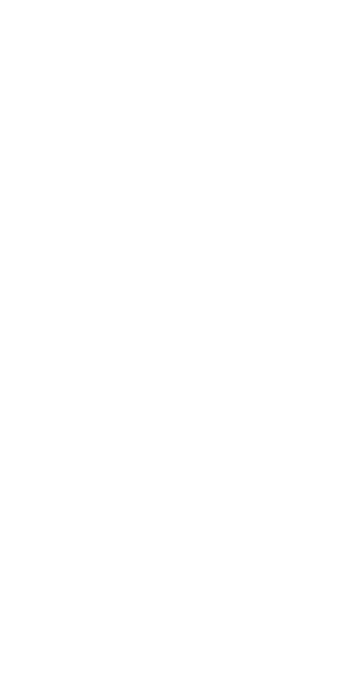 Noble Aerotech Logo