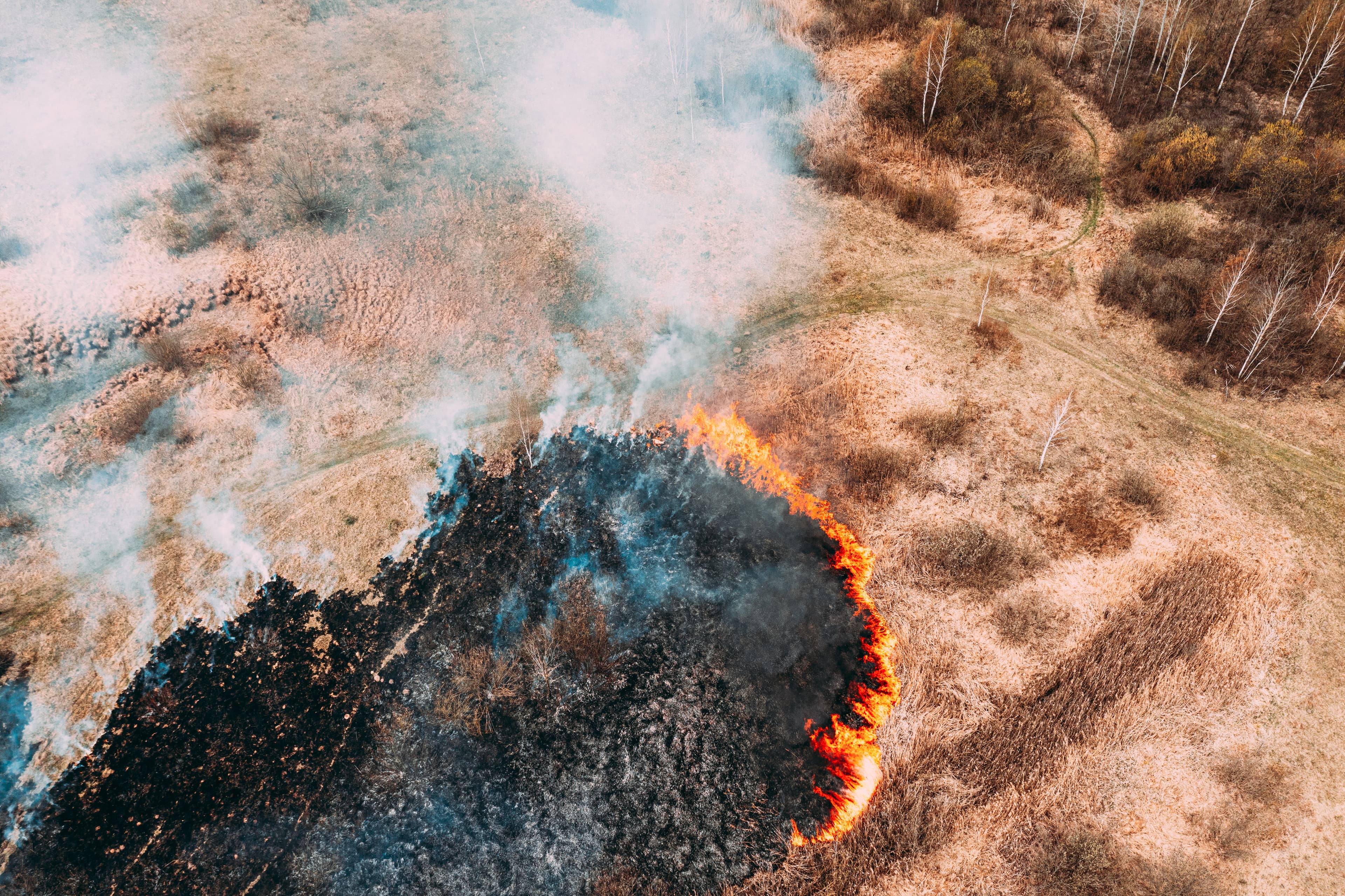 Mission-Specific Operations